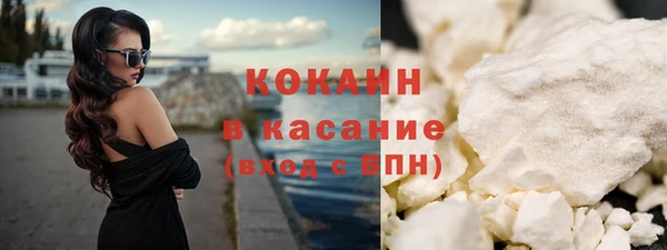 стафф Корсаков