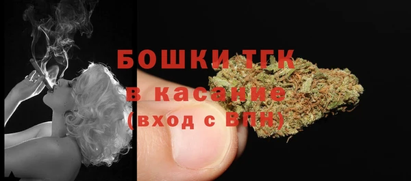 стафф Корсаков