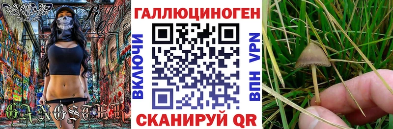 Галлюциногенные грибы Magic Shrooms  Купить где  Няндома 